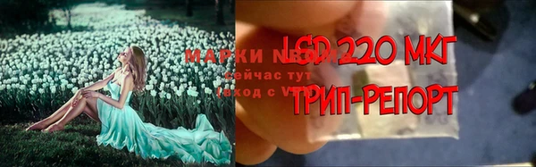 соль ск Аркадак