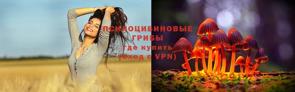 соль ск Аркадак
