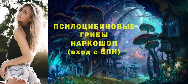 прущий лед Арсеньев